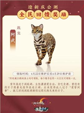 法师带护身的天龙八部私服